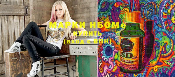 дмт Бикин