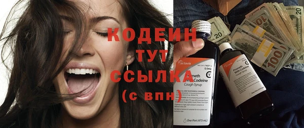 дмт Бикин