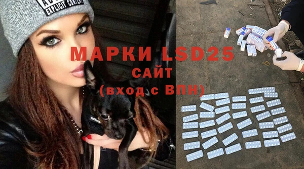 ALPHA PVP Новодвинск