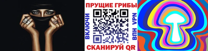 наркотики  Сольцы  Псилоцибиновые грибы Psilocybine cubensis 